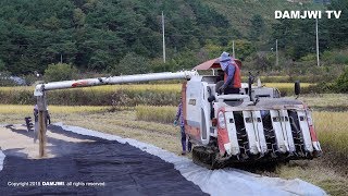 4K 콤바인 구보다 KUBOTA ARN98 추수과정