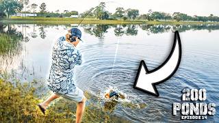 Did I Hook The BIGGEST Bass Of The ENTIRE Series! (200 Ponds Ep. 114)