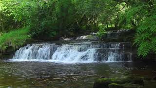 Relaxing Forest Waterfall Nature Sounds Birds Singing-Soothing Natural Sound of Water Relaxation