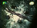 Shirdi Ke Sai Baba (1977) Hindi HQ Movie (With English Subtitle) Part - 3 Shirdi Ke Sai Baba (1977) Hindi HQ Movie (With English Subtitle) Part - 3