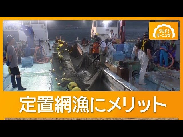 テレ朝 NEWSにて弊社の水揚げが放送されました。