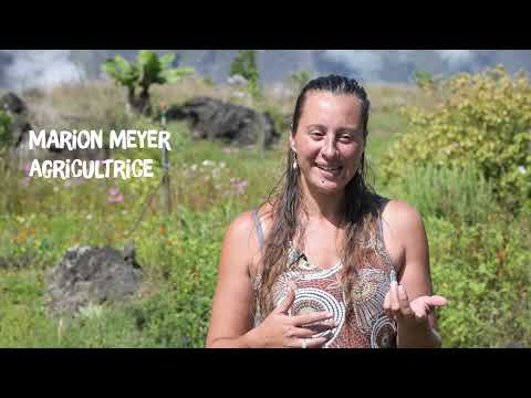 Zartisans du Goût - Marion Mayer, agricultrice à La Réunion