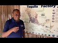 Organic Blue Agoby Tequila Mexican Trip March 2024