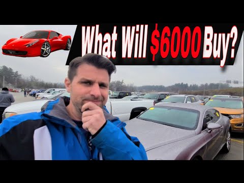Dealer Only Auction Day - Flipping $400 until I can Afford a Ferrari - Flying Wheels