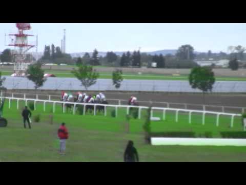 BR, 27. 9. 2015, 8. dostih - CENA POŘADATELE - VZPOMÍNKA NA PANA Ing. JIŘÍHO CHALOUPKU