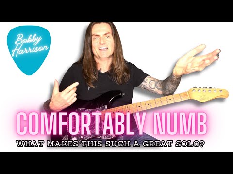 COMFORTABLY NUMB First Guitar Solo Lesson!