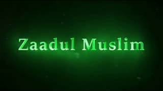 Download lagu ZAADUL MUSLIM - PENGARUH PANDANGAN TERHADAP DUNIA BAGI SESEORANG mp3