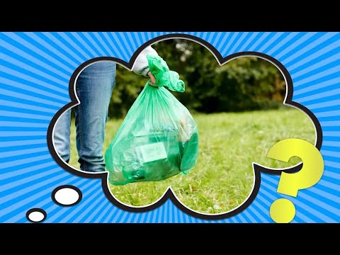 How Long Does It Really Take for a Plastic Bag to Decompose?