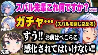 ぺこらvsスバルでプロレスをし合う中、ぺこらに加担する後輩すうに説教をするスバルw【ホロライブ 切り抜き/兎田ぺこら/大空スバル/水宮すう/猫又おかゆ/天音かなた/雪花ラミィ/一条莉々華/ヴィヴィ】
