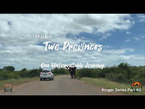 Kruger Series 2026 Part 8 - Lower Sabie & Crocodile Bridge Kruger National Park