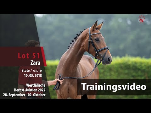 Herbst-Auktion Training Lot 51 Zara Stute v. Zinedream - Los Angeles