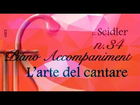 Seidler n.34 - Piano Accompaniment (Play - Along)
