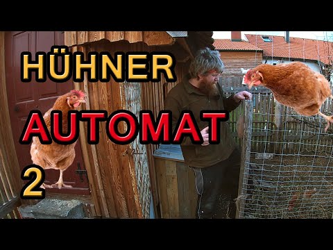 Hühnerfutterautomat 2