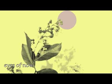 "Wu.Wei (What is Will Be)" Lyrics - SoLaTi - seanti-aeris