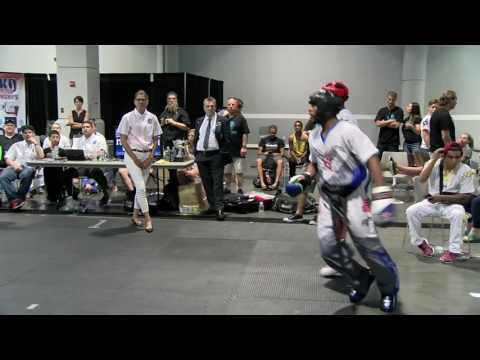 Leon Jefferson v Kevin Walker WAKO North American Open 2016