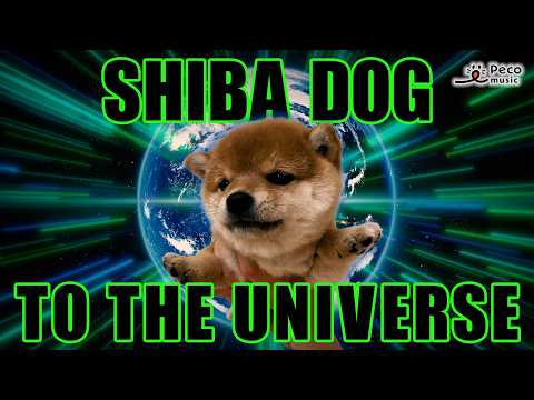 Shiba Dog to The Universe (single ver.)／YUKA YAMAZAKI（Official Music Video） のサムネイル