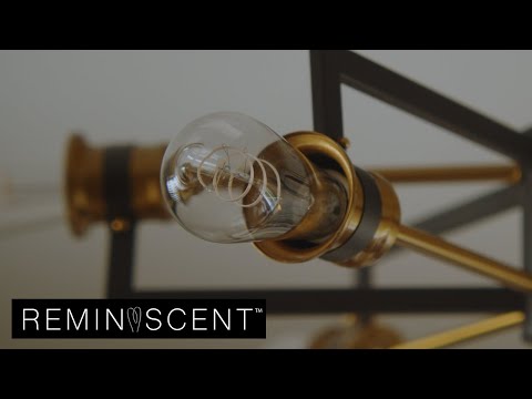 REMINISCENT Gray Filament ST19 Lamps