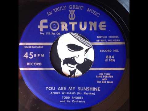 Andre Williams (Mr. Rhythm) with Tod Rhodes and His Orchestra - You Are My Sunshine (Fortune)