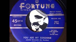 Andre Williams (Mr. Rhythm) with Tod Rhodes and His Orchestra - You Are My Sunshine (Fortune)