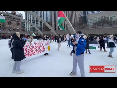CAUGHT ON CAMERA Pro Palestinian protesters crash skating party