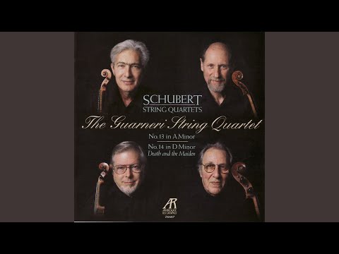 String Quartet No. 14 in D Minor, D.810, Death and the Maiden: I. Allegro