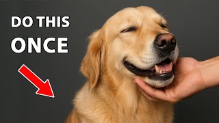 Do This Once And Change Your Dog’s Life Forever