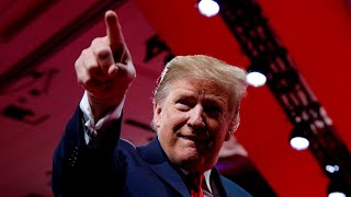 Trump returning to Twitter triggers ‘inferno of rage and panic’ among liberals