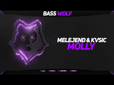 Melejend & KVSIC - MOLLY