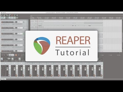Reaper - tutorial ITA - Panoramica generale, importazione e taglia-copia-incolla audio