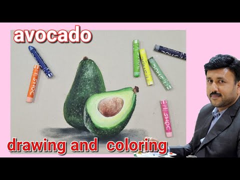 Drawing avocado with pastel