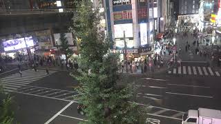 オノデンch【秋葉原ライブカメラ　Akihabara live camera】