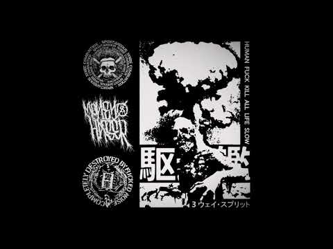 Spontaneous Noize Combustion / Money Hater / 糞軍 - 駆逐艦 (3 Way Split)