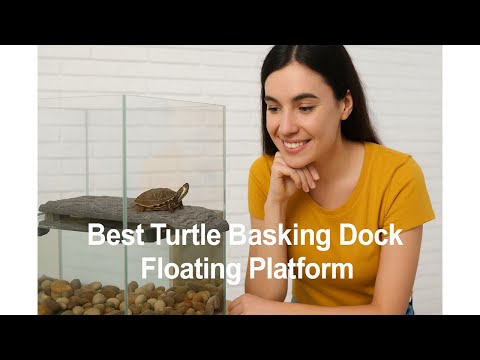 🐢 Zoo Med Mini Turtle Dock | Best Turtle Basking Dock Floating Platform 🐢