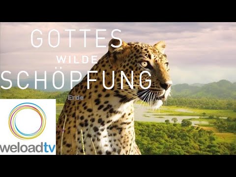Gottes wilde Schöpfung: Erde [HD] (Dokumentation, Doku Deutsch)
