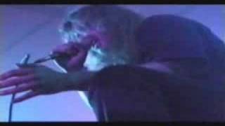 Eisregen - Futter für die Schweine