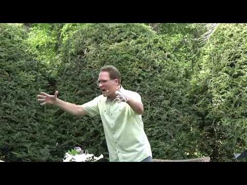 Acts 5:33-42 - They Never Stopped - Rev. Michael Birbeck