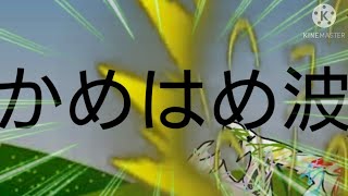 誕生日だったのでかめはめ波打ちます！