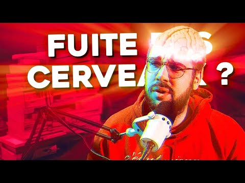 La fuite des cerveaux ?