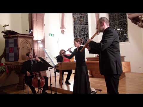 Georg Philipp Telemann - Trio d-Moll