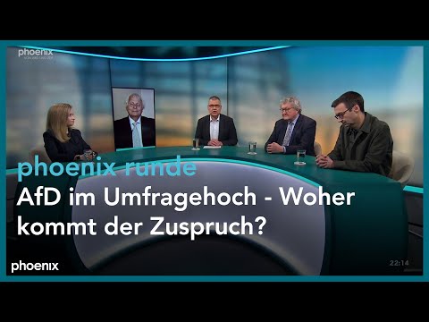 phoenix runde: AfD im Umfragehoch - Woher kommt der Zuspruch?