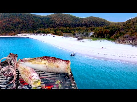50km Offshore overnight Adventure with BBQ Stuffed Squid Catch and Cook EP.440