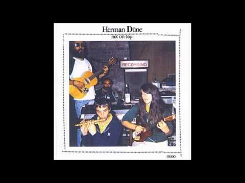 Herman Düne - Good for no one