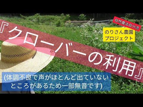 カタツムリのクローバー 植物