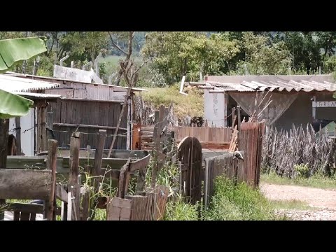 Famílias carentes vivem o espírito de natal em diferentes realidades