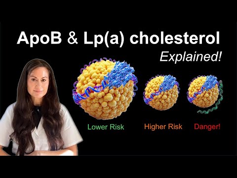 What is ApoB and Lp(a)? LDL Particle Size?
