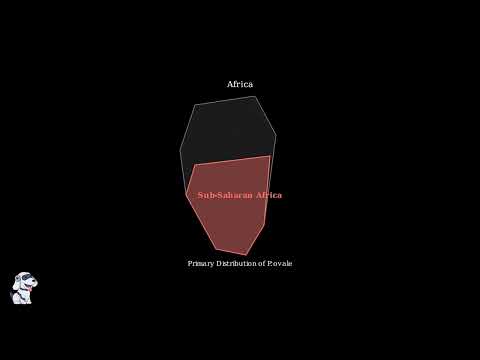 Plasmodium – Definition, Life Cycle, Characteristics, Morphology,  Diagram - Video