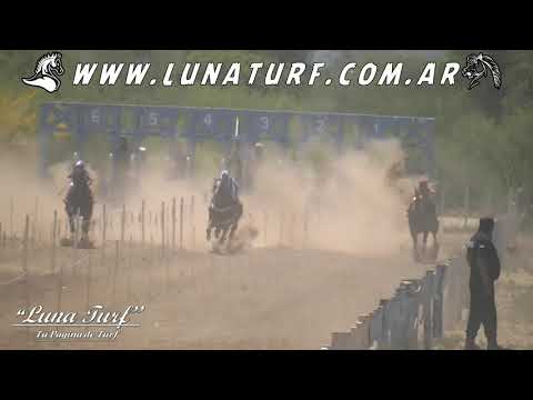 HIP. "EL PEDERNAL" EN CHEPES L.R.- 12/11/2017- REYMUNDO, SOMBRA NEGRA Y MANCHITA