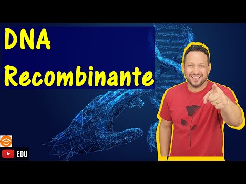 DNA Recombinante - Conceito, mecanismo e função - Biotecnologia - Engenharia Genética