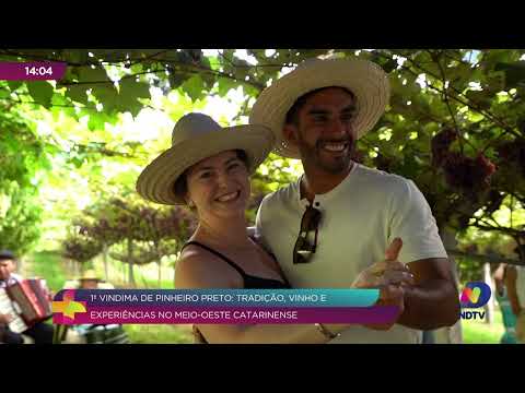 Pinheiro Preto celebra a primeira Vindima Oficial no Meio-Oeste