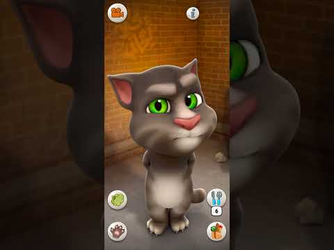 Talking Tom Cat Part 13724 #Shorts
